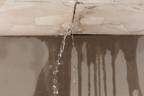 Professional Structural Drying technician working in Levasy, MO